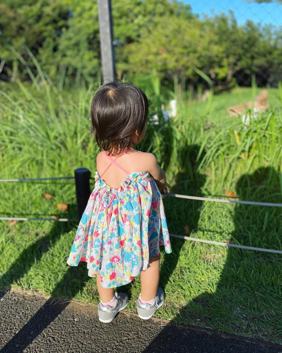 吉田早織のインスタグラム：「・﻿ 🌸18month🌸﻿ ﻿ ﻿ 今日で1歳半🧒🏻﻿ ﻿ 最近赤ちゃん感もすっかり抜けて女の子らしくなってきました✨﻿ ﻿ ﻿ 話しかけると「うん！」とうなずいてくれたり、﻿ ﻿ 「YES」「NO」「もう1回」の意思表示をジェスチャーでできるようになったので﻿ なんとなく会話が成立している気がします☺️﻿ ﻿ ﻿ 知恵が付いたりこだわりも出てきたので﻿ 好きな物しか食べてくれなかったり﻿ 今まで通りにいかない事も多いけど、﻿ これも成長の過程だと思って！﻿ ﻿ ﻿ これからも元気いっぱいすくすく育ってね💓﻿ ﻿ ﻿ ﻿ ﻿ ﻿ ﻿ #生後18ヶ月 #1歳半 #1歳女の子  #女の子ママ #子供のいる暮らし」