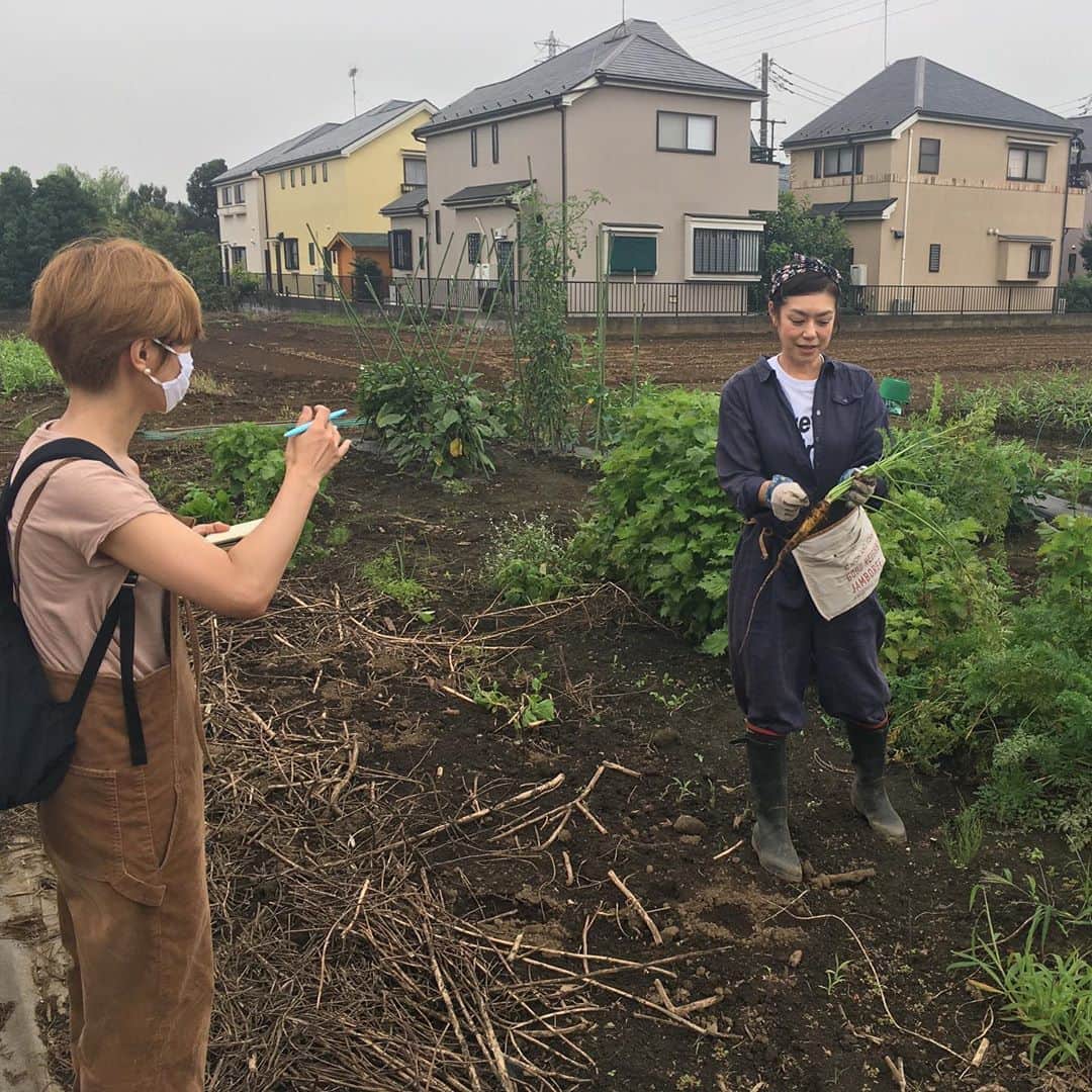 加藤紀子さんのインスタグラム写真 - (加藤紀子Instagram)「現在発売中の雑誌『GLOW』 @glow_tkj さんに畑取材して頂きました🥕 「畑は無理よー！」な方でも楽しめるプランター栽培の記事など（もちろん素敵お洋服ページなども楽しい）、 読み応え満載！ ぜひチェックしてみてください✨  #カトノリ農園」9月9日 12時27分 - katonoriko