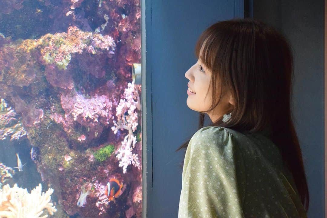 西村菜那子さんのインスタグラム写真 - (西村菜那子Instagram)「#マリンピア日本海  これからは積極的に水族館へ行こうと思う🐬」9月9日 13時06分 - nanako_nishimura