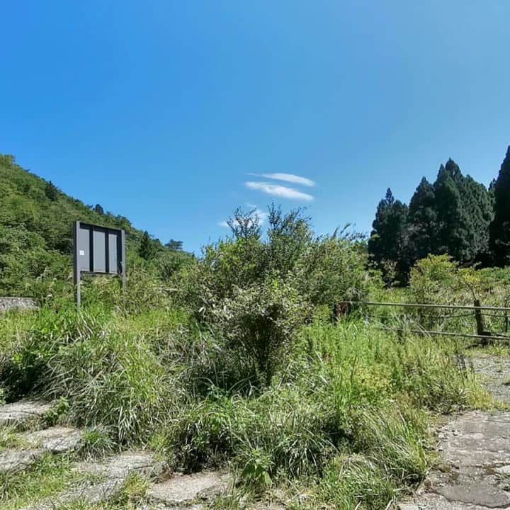 脇田恵子のインスタグラム：「Beautiful nature 🏞 w/ my movin'🏡.   ごはんもお風呂もトイレも寝床も景色も。  風のように、気の向くまま生きてみる選びかた🤫🚗ぶぅーん🐝。  ずーとこうしていたい。しゃいこう ということで免許取り行くん決めました🤫。」