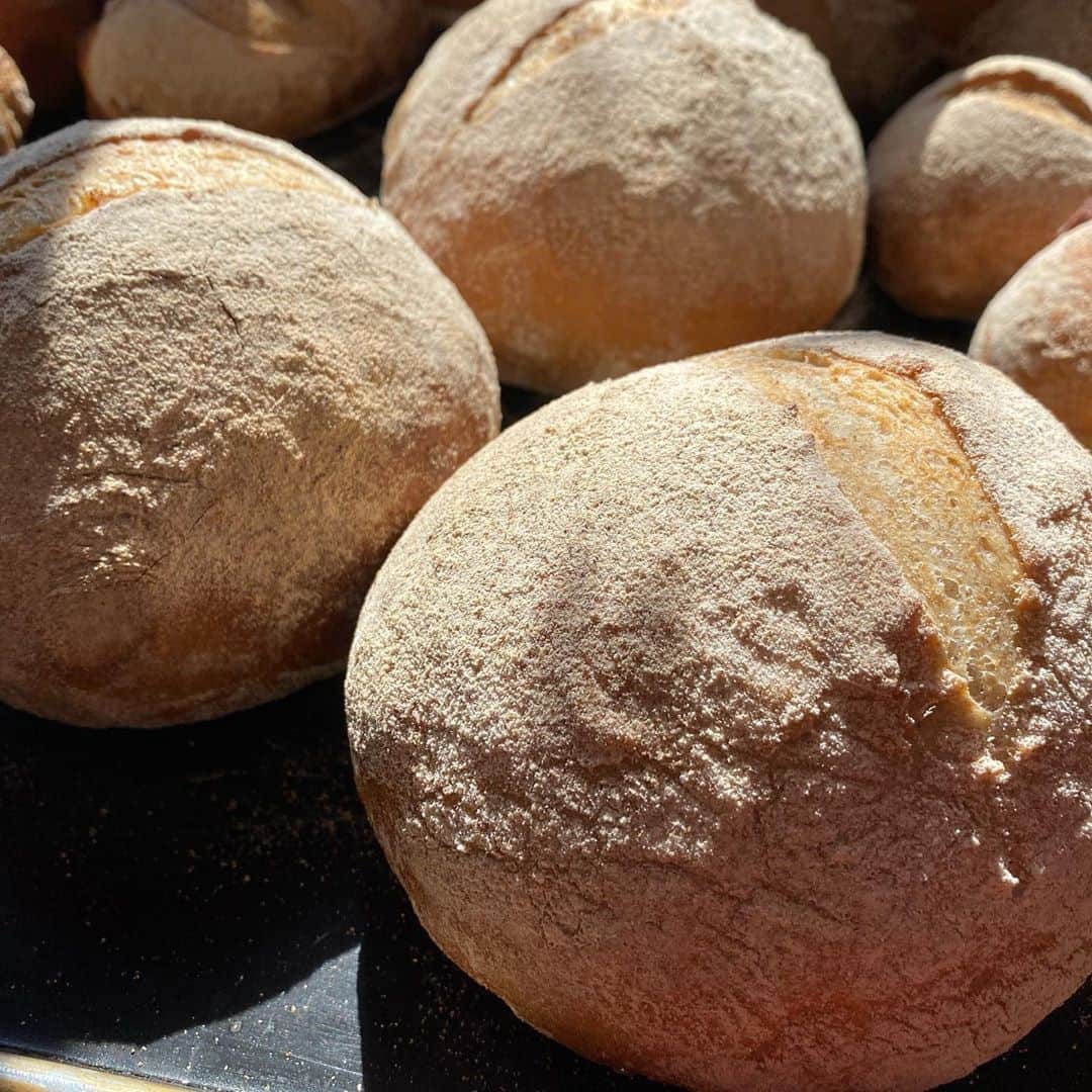 魔女菅原のグルメインスタ