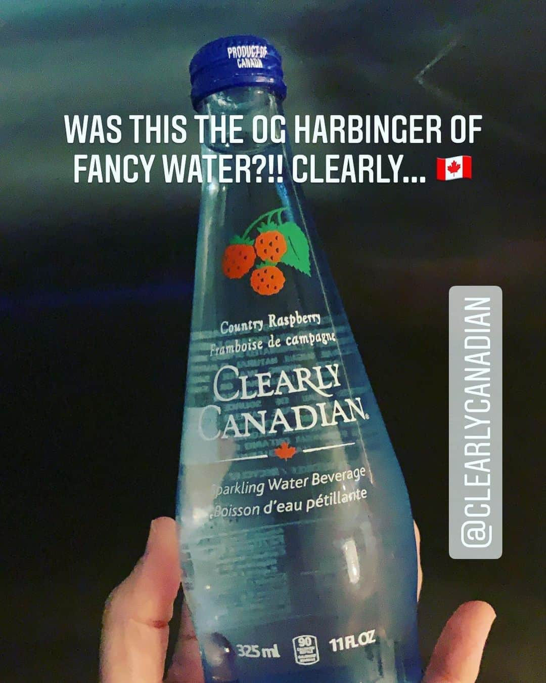 アナベス・ギッシュさんのインスタグラム写真 - (アナベス・ギッシュInstagram)「Ok, CLEARLY we need to discuss the Proustian memory flood this bottle of @clearlycanadian sparkling water provokes... and not only for me. Found it today at the store, and even before I opened the bottle to taste I was suddenly a teenager in Iowa, and I was with my mom, and I remembered the blackberry flavor was my favorite. Talk about refreshing... this singular water bottle has freshened my memories...」9月9日 13時29分 - annabeth_gish