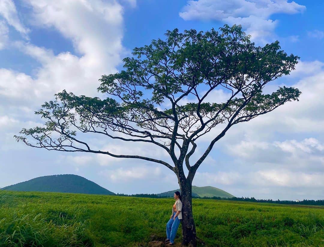 のインスタグラム：「🌿」