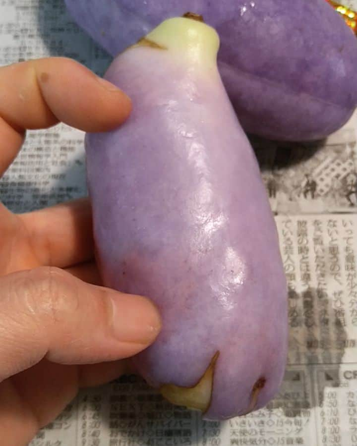 gakuのインスタグラム：「Akebia quinata あけび見かけてやってみた。 灰汁が早い 中の種キモい  #carving #vegetablecarving #vegetable #アケビ #akebi #ベジタブルカービング #カービング #野菜アート #野菜彫刻 #野菜」