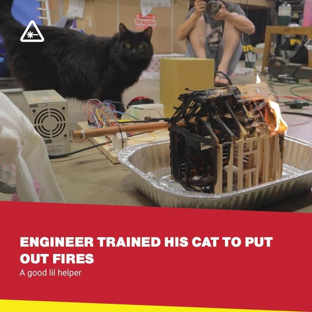 クリス・ハードウィックさんのインスタグラム写真 - (クリス・ハードウィックInstagram)「YouTuber and mechanical engineer William Osman has done the unthinkable: turned a cat into a firefighter.⁠ link in bio」9月10日 0時10分 - nerdist
