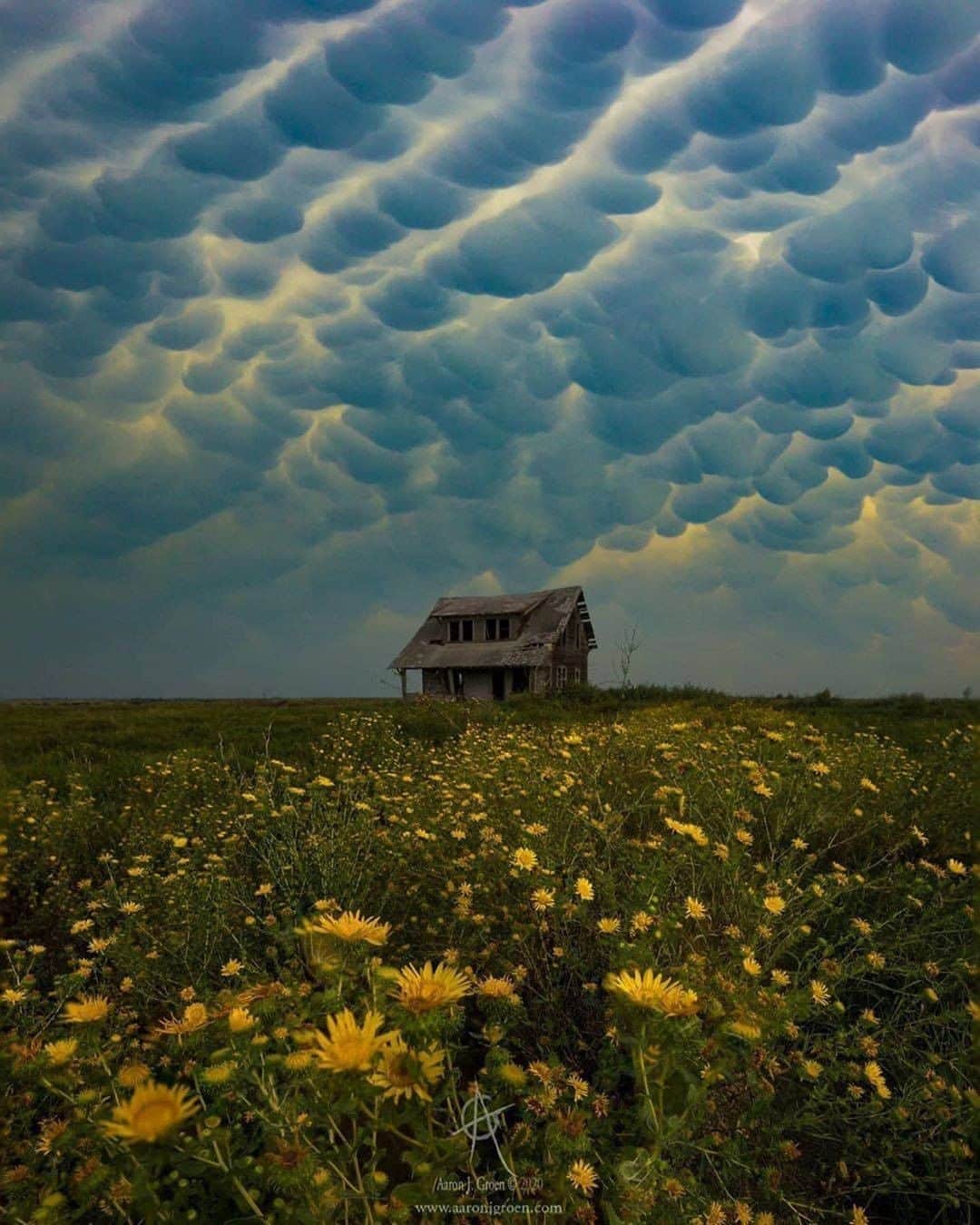 Discover Earthさんのインスタグラム写真 - (Discover EarthInstagram)「Do you know what are those clouds called ?  "☁️Mammatus clouds are some of the most unusual and distinctive clouds formations with a series of bulges or pouches emerging from the base of a cloud. The shape of mammatus formations can vary widely; from the classic protruding shape, to a more elongated tube hanging from the cloud above. Which is most impressive? Photos by: 1. @beautyandruin  2. @jay_a_daley  3. @iwata77  4. @homegroenphotography  5. @bokovoyphotography  6. @photography_worldexplore  7. @tungstene_  8. @theoriginalajaxjones "  ☁️ #discoverthesky with @wonderlustcollective   #mammatusclouds #clouds #sky」9月10日 0時30分 - discoverearth