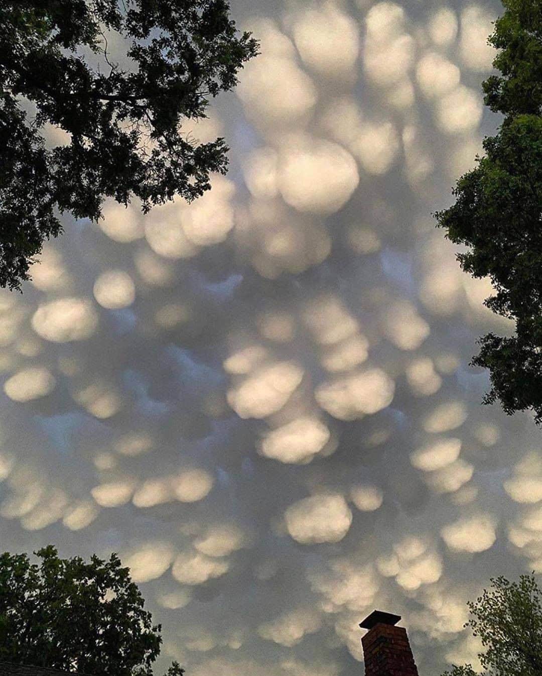 Discover Earthさんのインスタグラム写真 - (Discover EarthInstagram)「Do you know what are those clouds called ?  "☁️Mammatus clouds are some of the most unusual and distinctive clouds formations with a series of bulges or pouches emerging from the base of a cloud. The shape of mammatus formations can vary widely; from the classic protruding shape, to a more elongated tube hanging from the cloud above. Which is most impressive? Photos by: 1. @beautyandruin  2. @jay_a_daley  3. @iwata77  4. @homegroenphotography  5. @bokovoyphotography  6. @photography_worldexplore  7. @tungstene_  8. @theoriginalajaxjones "  ☁️ #discoverthesky with @wonderlustcollective   #mammatusclouds #clouds #sky」9月10日 0時30分 - discoverearth
