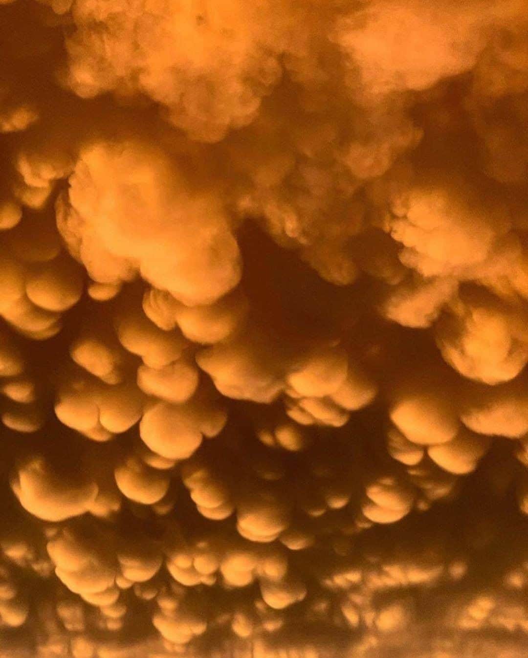 Discover Earthさんのインスタグラム写真 - (Discover EarthInstagram)「Do you know what are those clouds called ?  "☁️Mammatus clouds are some of the most unusual and distinctive clouds formations with a series of bulges or pouches emerging from the base of a cloud. The shape of mammatus formations can vary widely; from the classic protruding shape, to a more elongated tube hanging from the cloud above. Which is most impressive? Photos by: 1. @beautyandruin  2. @jay_a_daley  3. @iwata77  4. @homegroenphotography  5. @bokovoyphotography  6. @photography_worldexplore  7. @tungstene_  8. @theoriginalajaxjones "  ☁️ #discoverthesky with @wonderlustcollective   #mammatusclouds #clouds #sky」9月10日 0時30分 - discoverearth