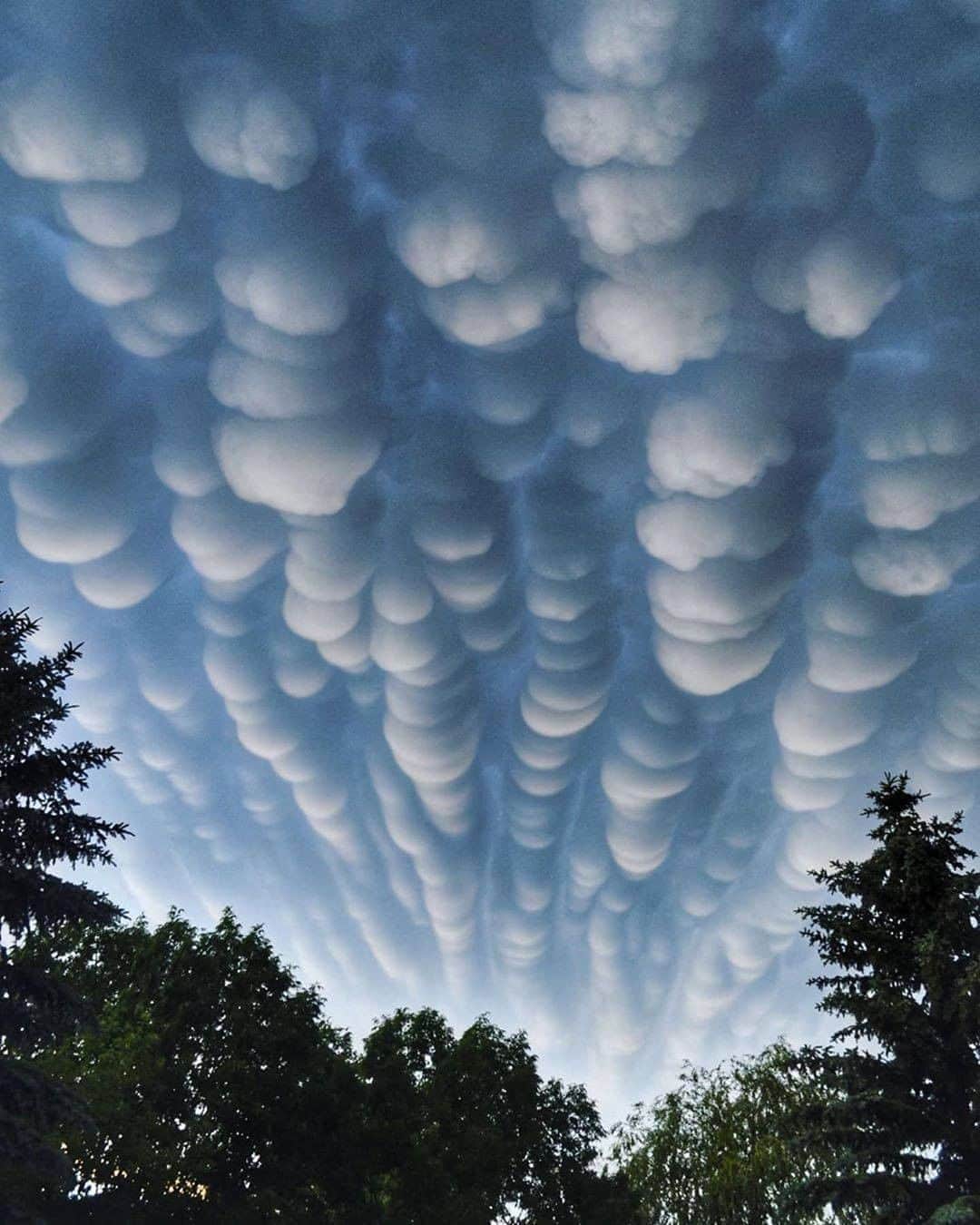 Discover Earthさんのインスタグラム写真 - (Discover EarthInstagram)「Do you know what are those clouds called ?  "☁️Mammatus clouds are some of the most unusual and distinctive clouds formations with a series of bulges or pouches emerging from the base of a cloud. The shape of mammatus formations can vary widely; from the classic protruding shape, to a more elongated tube hanging from the cloud above. Which is most impressive? Photos by: 1. @beautyandruin  2. @jay_a_daley  3. @iwata77  4. @homegroenphotography  5. @bokovoyphotography  6. @photography_worldexplore  7. @tungstene_  8. @theoriginalajaxjones "  ☁️ #discoverthesky with @wonderlustcollective   #mammatusclouds #clouds #sky」9月10日 0時30分 - discoverearth