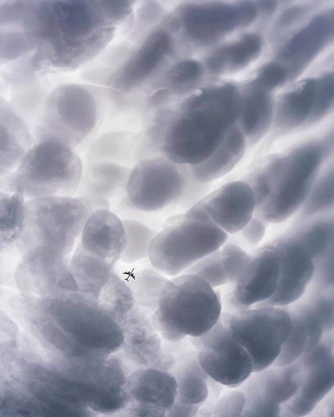 Discover Earthさんのインスタグラム写真 - (Discover EarthInstagram)「Do you know what are those clouds called ?  "☁️Mammatus clouds are some of the most unusual and distinctive clouds formations with a series of bulges or pouches emerging from the base of a cloud. The shape of mammatus formations can vary widely; from the classic protruding shape, to a more elongated tube hanging from the cloud above. Which is most impressive? Photos by: 1. @beautyandruin  2. @jay_a_daley  3. @iwata77  4. @homegroenphotography  5. @bokovoyphotography  6. @photography_worldexplore  7. @tungstene_  8. @theoriginalajaxjones "  ☁️ #discoverthesky with @wonderlustcollective   #mammatusclouds #clouds #sky」9月10日 0時30分 - discoverearth