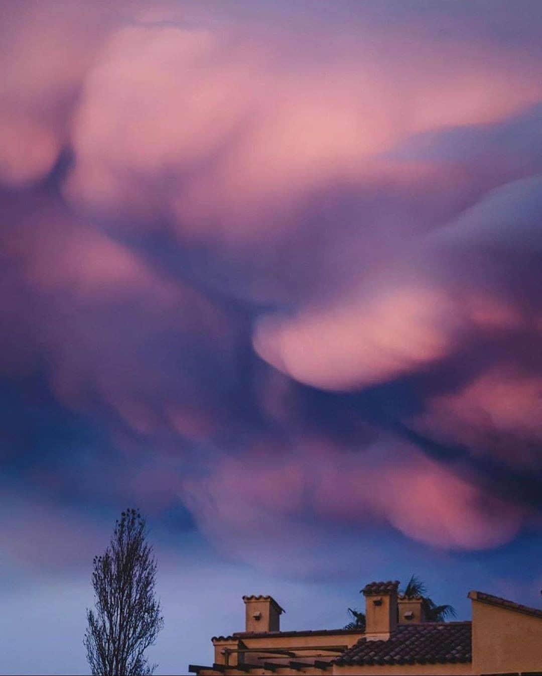Discover Earthさんのインスタグラム写真 - (Discover EarthInstagram)「Do you know what are those clouds called ?  "☁️Mammatus clouds are some of the most unusual and distinctive clouds formations with a series of bulges or pouches emerging from the base of a cloud. The shape of mammatus formations can vary widely; from the classic protruding shape, to a more elongated tube hanging from the cloud above. Which is most impressive? Photos by: 1. @beautyandruin  2. @jay_a_daley  3. @iwata77  4. @homegroenphotography  5. @bokovoyphotography  6. @photography_worldexplore  7. @tungstene_  8. @theoriginalajaxjones "  ☁️ #discoverthesky with @wonderlustcollective   #mammatusclouds #clouds #sky」9月10日 0時30分 - discoverearth