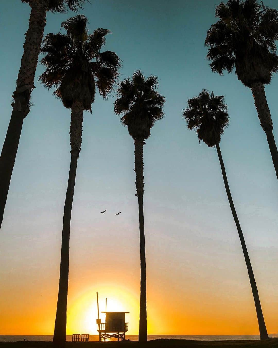 羽石杏奈さんのインスタグラム写真 - (羽石杏奈Instagram)「how was your day?🧡 . . . sunset views #nofilter 🇺🇸🌞 2📍San Francisco 3📍Hawaii 4📍San Diego」9月10日 0時26分 - hawaiianna913