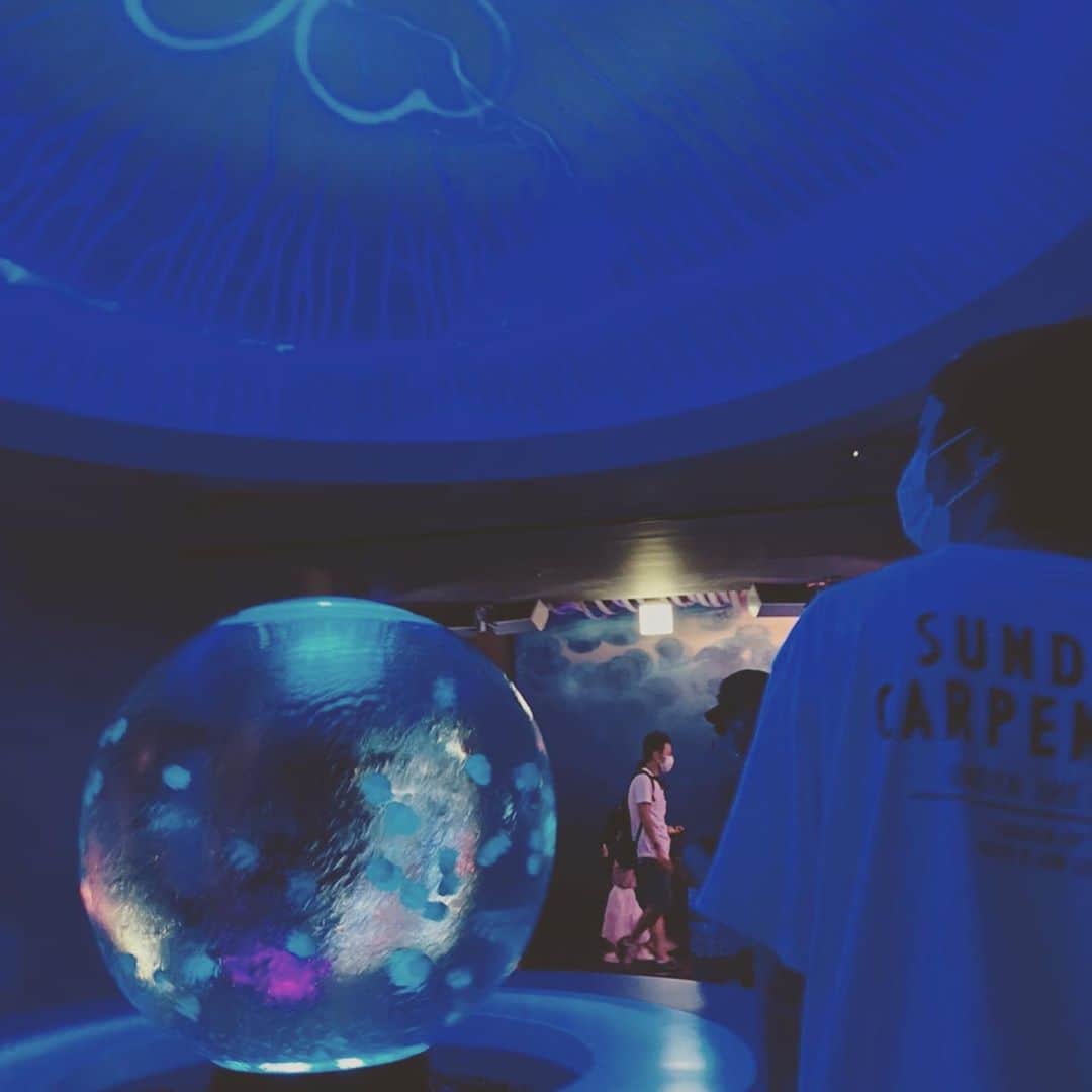 加藤 聖也さんのインスタグラム写真 - (加藤 聖也Instagram)「. 鎌倉🚶🏻‍♂️ 報国寺とっても好き😌 水族館も久しぶりに行ったけど 綺麗で癒されたあ🐠✨ #鎌倉 #報国寺 #江の島 #新江の島水族館  #エイがみんな笑ってるみたいで可愛かった☺️ #近い日程でアートアクアリウムに行きたい気持ち🥺 #写真撮るときだけマスク外しました😷🙏🏻 #TOKYOSLOWLIFE #Tee #お尻が見えそうなLevis #fashion #cordinate #ootd #street #NIKE #OffWhite #JORDAN #AJ5 #supreme」9月10日 0時32分 - se1ya_kato