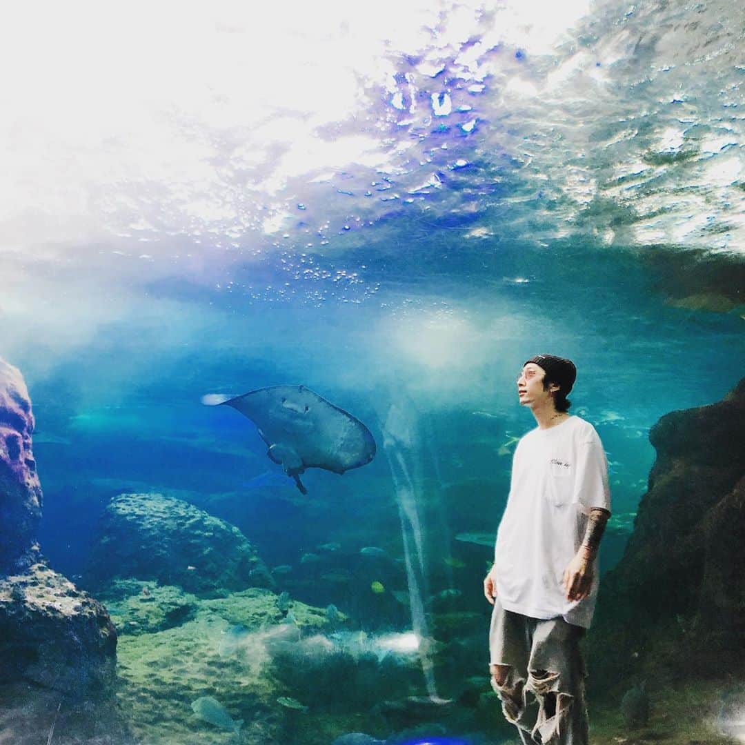 加藤 聖也さんのインスタグラム写真 - (加藤 聖也Instagram)「. 鎌倉🚶🏻‍♂️ 報国寺とっても好き😌 水族館も久しぶりに行ったけど 綺麗で癒されたあ🐠✨ #鎌倉 #報国寺 #江の島 #新江の島水族館  #エイがみんな笑ってるみたいで可愛かった☺️ #近い日程でアートアクアリウムに行きたい気持ち🥺 #写真撮るときだけマスク外しました😷🙏🏻 #TOKYOSLOWLIFE #Tee #お尻が見えそうなLevis #fashion #cordinate #ootd #street #NIKE #OffWhite #JORDAN #AJ5 #supreme」9月10日 0時32分 - se1ya_kato