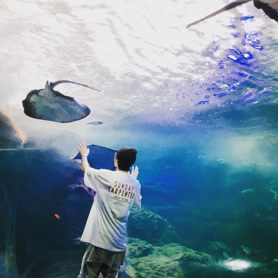 加藤 聖也さんのインスタグラム写真 - (加藤 聖也Instagram)「. 鎌倉🚶🏻‍♂️ 報国寺とっても好き😌 水族館も久しぶりに行ったけど 綺麗で癒されたあ🐠✨ #鎌倉 #報国寺 #江の島 #新江の島水族館  #エイがみんな笑ってるみたいで可愛かった☺️ #近い日程でアートアクアリウムに行きたい気持ち🥺 #写真撮るときだけマスク外しました😷🙏🏻 #TOKYOSLOWLIFE #Tee #お尻が見えそうなLevis #fashion #cordinate #ootd #street #NIKE #OffWhite #JORDAN #AJ5 #supreme」9月10日 0時32分 - se1ya_kato