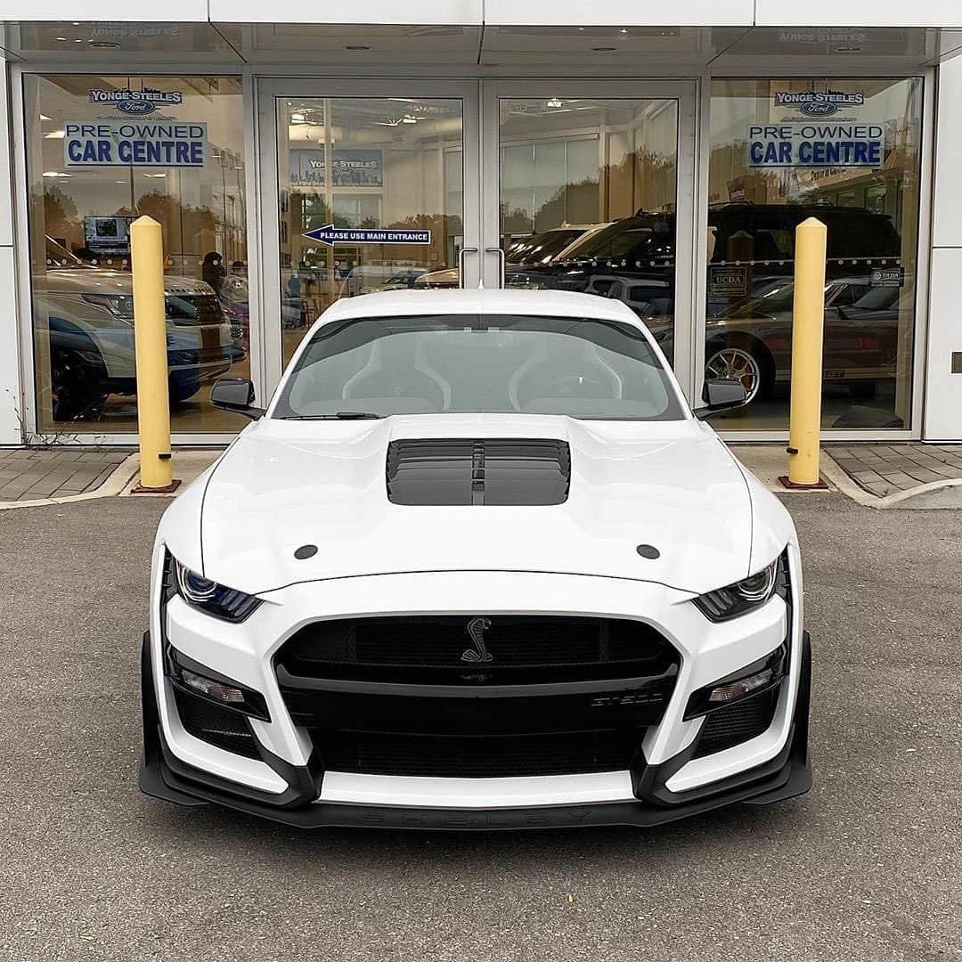 CarsWithoutLimitsさんのインスタグラム写真 - (CarsWithoutLimitsInstagram)「New Arrival Rare ‘Golden Ticket’ @YongeSteelesFordLincoln #2020 #FORD #MUSTANG #Shelby #GT500 in #Oxford White with Ebony Lthr #Recaro Seats with Delivery kms. Options include Vinyl Side Stripe ($500), Carbon Fibre Track Pack ($24,995), Tech Package ($4,000). Visit us #GTA now #Canada’s at 7120 #YongeStreet, #Thornhill, ON. “The Best Ford Deals In 🇨🇦 Are At Yonge Steeles.” BUY FOR $165,888❗️ Shop Online www.YSFL.ca」9月10日 0時46分 - carswithoutlimits