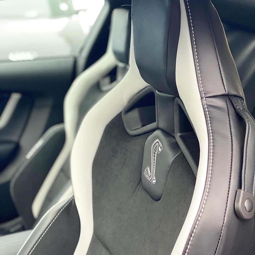 CarsWithoutLimitsさんのインスタグラム写真 - (CarsWithoutLimitsInstagram)「New Arrival Rare ‘Golden Ticket’ @YongeSteelesFordLincoln #2020 #FORD #MUSTANG #Shelby #GT500 in #Oxford White with Ebony Lthr #Recaro Seats with Delivery kms. Options include Vinyl Side Stripe ($500), Carbon Fibre Track Pack ($24,995), Tech Package ($4,000). Visit us #GTA now #Canada’s at 7120 #YongeStreet, #Thornhill, ON. “The Best Ford Deals In 🇨🇦 Are At Yonge Steeles.” BUY FOR $165,888❗️ Shop Online www.YSFL.ca」9月10日 0時46分 - carswithoutlimits