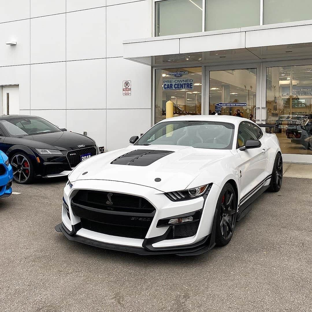 CarsWithoutLimitsさんのインスタグラム写真 - (CarsWithoutLimitsInstagram)「New Arrival Rare ‘Golden Ticket’ @YongeSteelesFordLincoln #2020 #FORD #MUSTANG #Shelby #GT500 in #Oxford White with Ebony Lthr #Recaro Seats with Delivery kms. Options include Vinyl Side Stripe ($500), Carbon Fibre Track Pack ($24,995), Tech Package ($4,000). Visit us #GTA now #Canada’s at 7120 #YongeStreet, #Thornhill, ON. “The Best Ford Deals In 🇨🇦 Are At Yonge Steeles.” BUY FOR $165,888❗️ Shop Online www.YSFL.ca」9月10日 0時46分 - carswithoutlimits