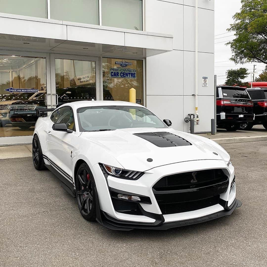 CarsWithoutLimitsさんのインスタグラム写真 - (CarsWithoutLimitsInstagram)「New Arrival Rare ‘Golden Ticket’ @YongeSteelesFordLincoln #2020 #FORD #MUSTANG #Shelby #GT500 in #Oxford White with Ebony Lthr #Recaro Seats with Delivery kms. Options include Vinyl Side Stripe ($500), Carbon Fibre Track Pack ($24,995), Tech Package ($4,000). Visit us #GTA now #Canada’s at 7120 #YongeStreet, #Thornhill, ON. “The Best Ford Deals In 🇨🇦 Are At Yonge Steeles.” BUY FOR $165,888❗️ Shop Online www.YSFL.ca」9月10日 0時46分 - carswithoutlimits