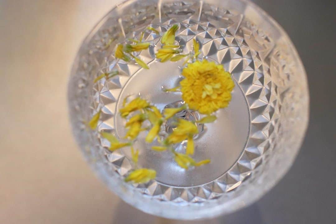 相馬絵美のインスタグラム：「菊酒は @kikusui_pr の菊水で🍶  重陽の節句ホロスコープ🌟 ちなみに今日は一粒万倍日でもあった🤣 健康の為にしたアクションが何万倍にもなって返ってくるね！  ラッキースターの木星が太陽とトライン🌞 トラインは120度で調和の角度。  木星と太陽のトラインはなかなかレアなのと、木星は拡大・発展の星。  今取り組んでいてさらに流れを良くしたいものに意識を向けてみてね。  金星と月と水星の幸運の小三角形もできてるから、重陽の節句と相まって今日は開運日✌️✨✨  世の中がどう見えたのであれ、自分がどこに目を向けて、目指していくか決めた世界が自分の生きる世界だよー🌍  ちなみに一つ前で菊について触れたけど、菊には黄色と紫の2種類あって、 黄色は肝臓の働きを良くして解毒やかすみ目に👁 紫は精神安定や水分代謝を促すそうですよん🌼  #重陽の節句 #菊の効能 #不老不死 #不死はあれだけど #ずっと若くいたいよね #ホロスコープ #ラッキースター木星 #太陽とトライン #120度は調和の角度 #菊水美味しい」