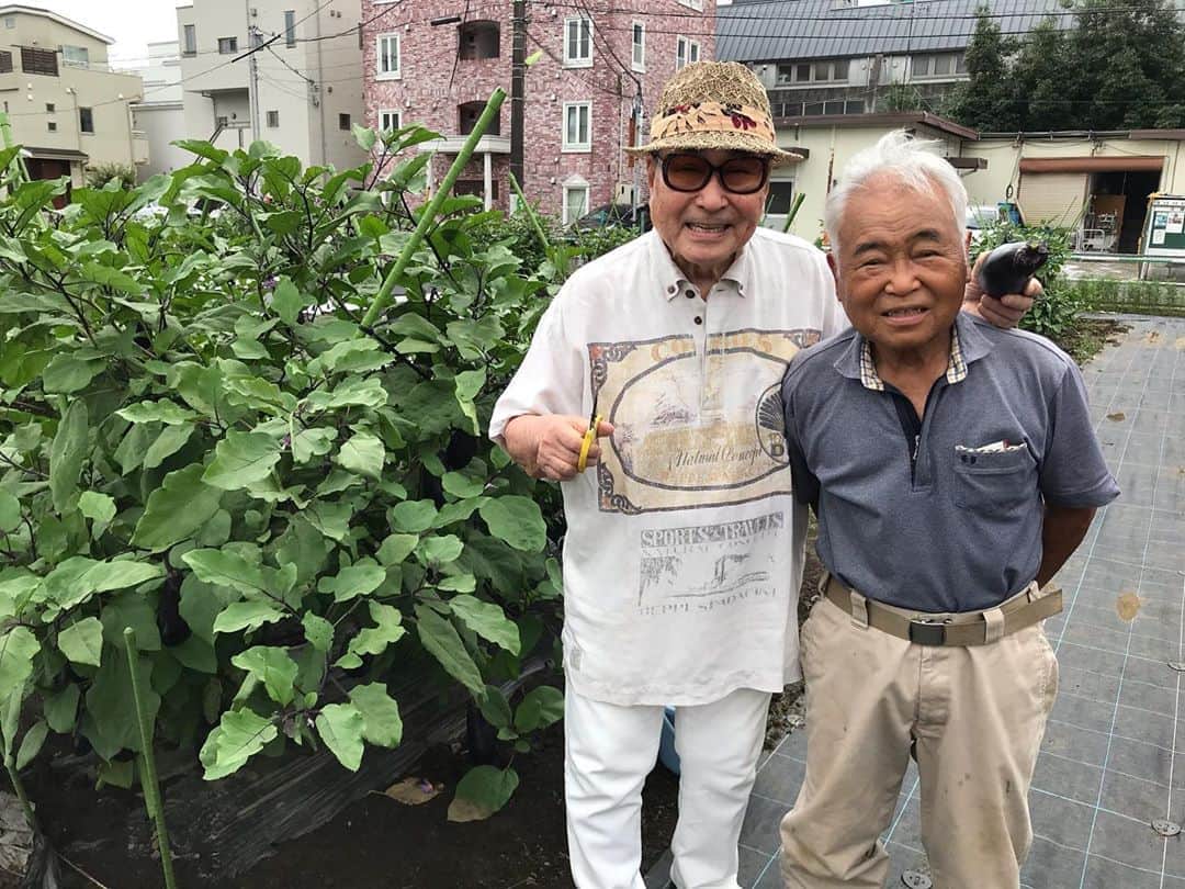 のインスタグラム：「とうとうこの男が畑の力に参戦❣️ #マムちゃんの世田谷農園ぶらり歩き 持てるネットワーク使い果たします❗️ #毒蝮三太夫　さん #ベジアナ  #畑の力らららラジオ あす11時から放送 リスナー感謝プレゼント❣️ 世田谷生まれのぶどう 限定489本しかない #世田谷メルロー　プレゼント‼️ 必聴！ まだリスナー少ないからあなたに当たるかもよ❣️ 毒蝮さんの出演は明日ではなく来週です！ #JA世田谷目黒　 #世田谷体験農園 明日11時から聴いてね」