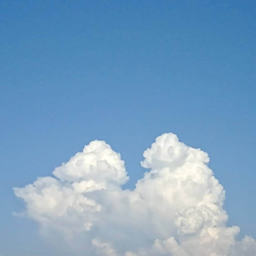 くぼてんきさんのインスタグラム写真 - (くぼてんきInstagram)「もくもくもくもく  #夏の雲 #漫才してるみたい #なんでやねん #やめさせてもらうわ」9月9日 16時53分 - kubotenki