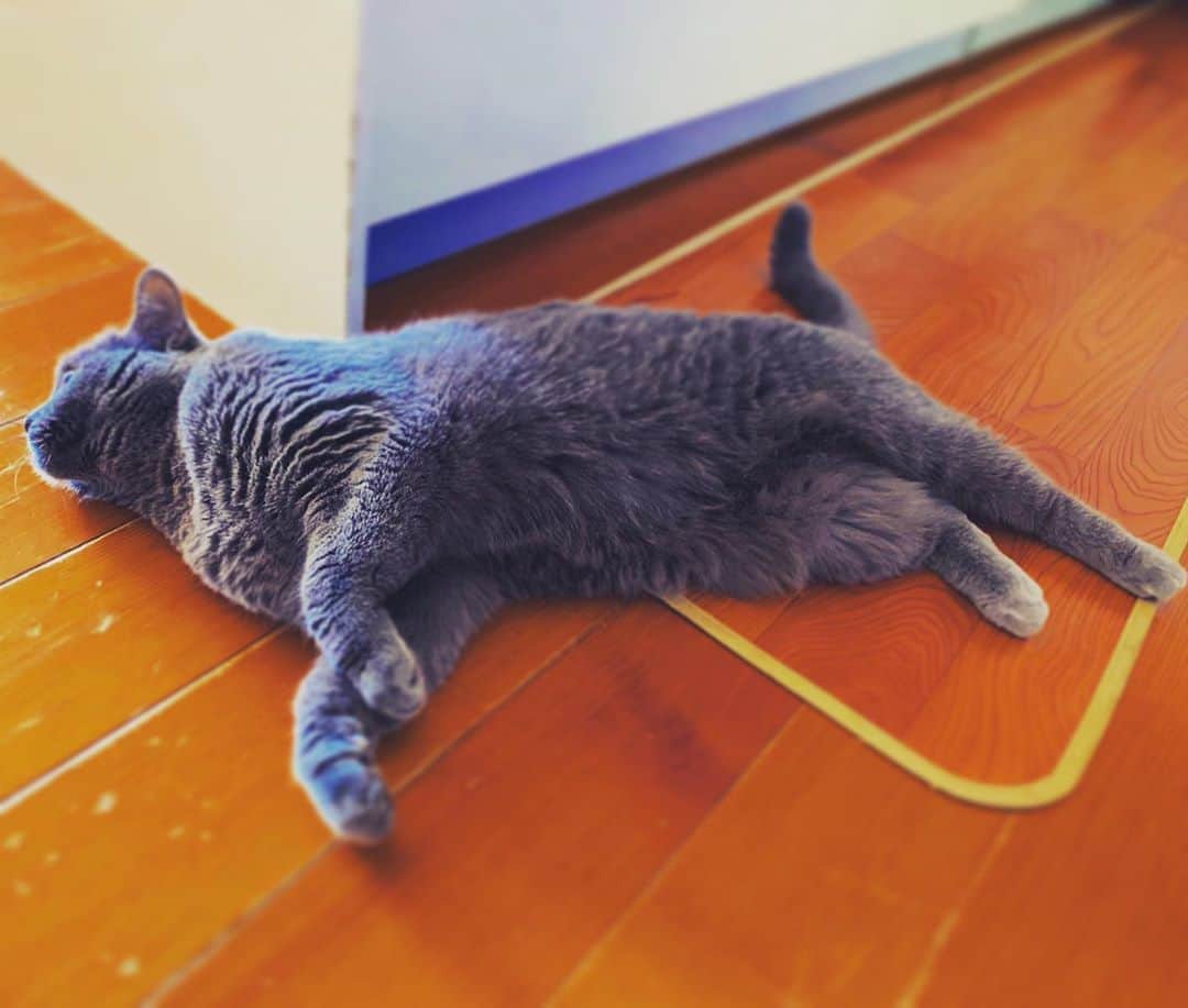 チキン南蛮カレーのルウ王子のグルメインスタ