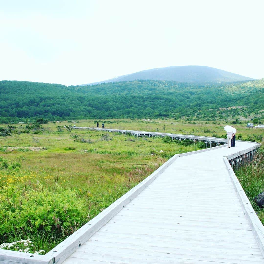 Rediscover Fukushimaさんのインスタグラム写真 - (Rediscover FukushimaInstagram)「Take a look up the sky. Make memories that will last a lifetime at Jododaira area with your special someone.  . Jododaira Visitor Center, located at an altitude of 1500 m, stands partway along the Bandai-Azuma Skyline sightseeing road. Jododaira acts as a base to spend the day hiking nearby mountain routes, including Mt. Higashi-Azuma (1,975 m) and Mt. Issaikyo (1,949 m).  . The Jododaira area is also prone to high volcanic gas levels, so it is a good idea to check whether the area is open to visitors before making the drive up the mountain roads.」9月9日 17時09分 - rediscoverfukushima