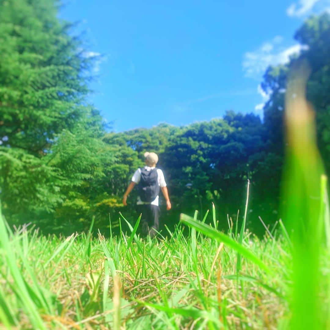高根正樹さんのインスタグラム写真 - (高根正樹Instagram)「Forest of the beginning🌳🍃　#pokemon #adventure #はじまりの森 #さあ冒険のはじまりだ」9月9日 17時30分 - machagram_1102