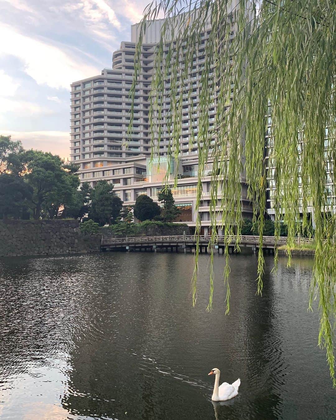 Palace Hotel Tokyo / パレスホテル東京のインスタグラム