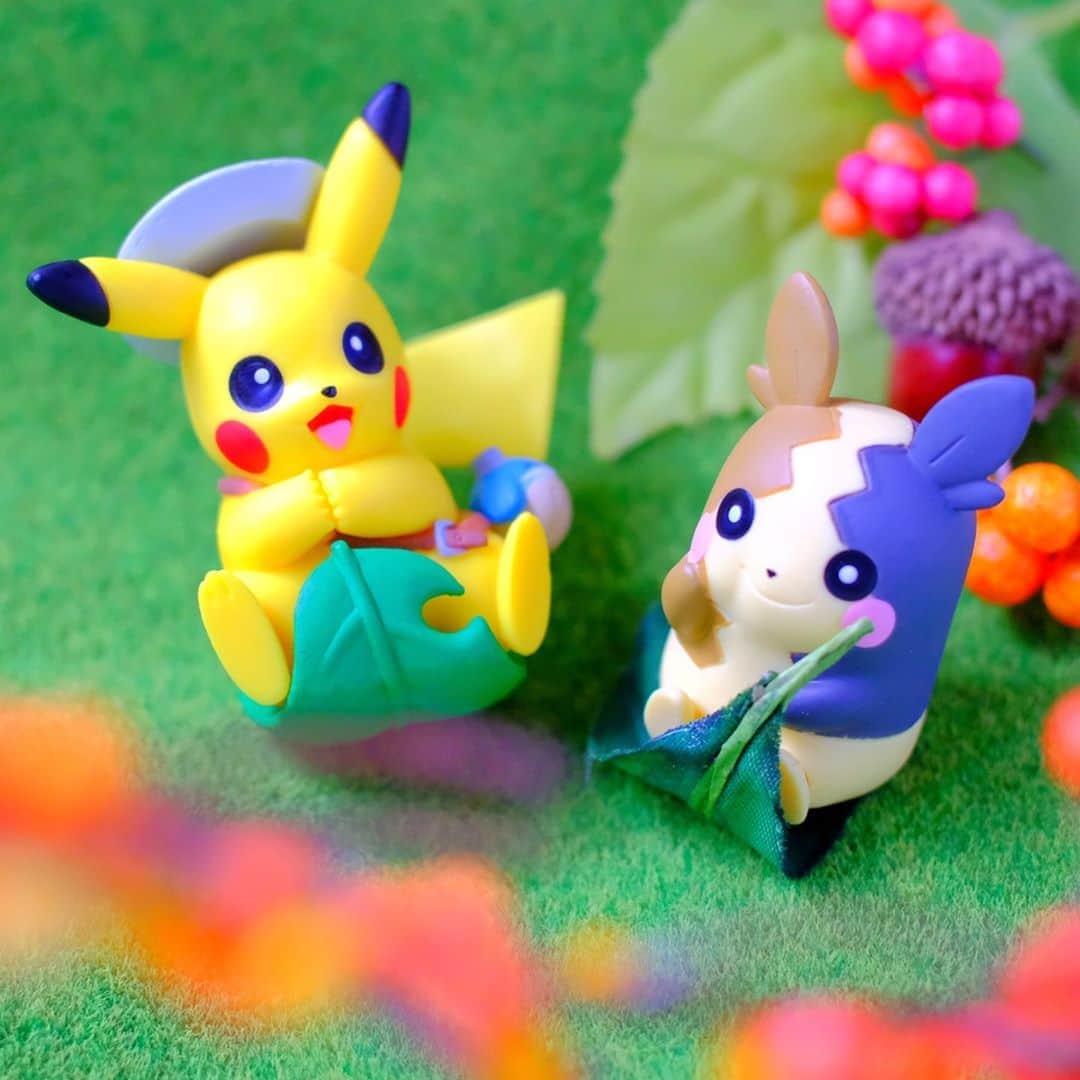 のインスタグラム：「【今日のピカチュウ】 葉っぱに乗って冒険にしゅっぱーつ🍂💨 今日はどんな新しいことに出会えるかな😄❓ #pikachu #morpeko #pokemon #pikachu_snap #photooftheday #leaf #adventure #ピカチュウ #モルペコ #ポケモン #葉 #葉っぱ #そり #冒険」