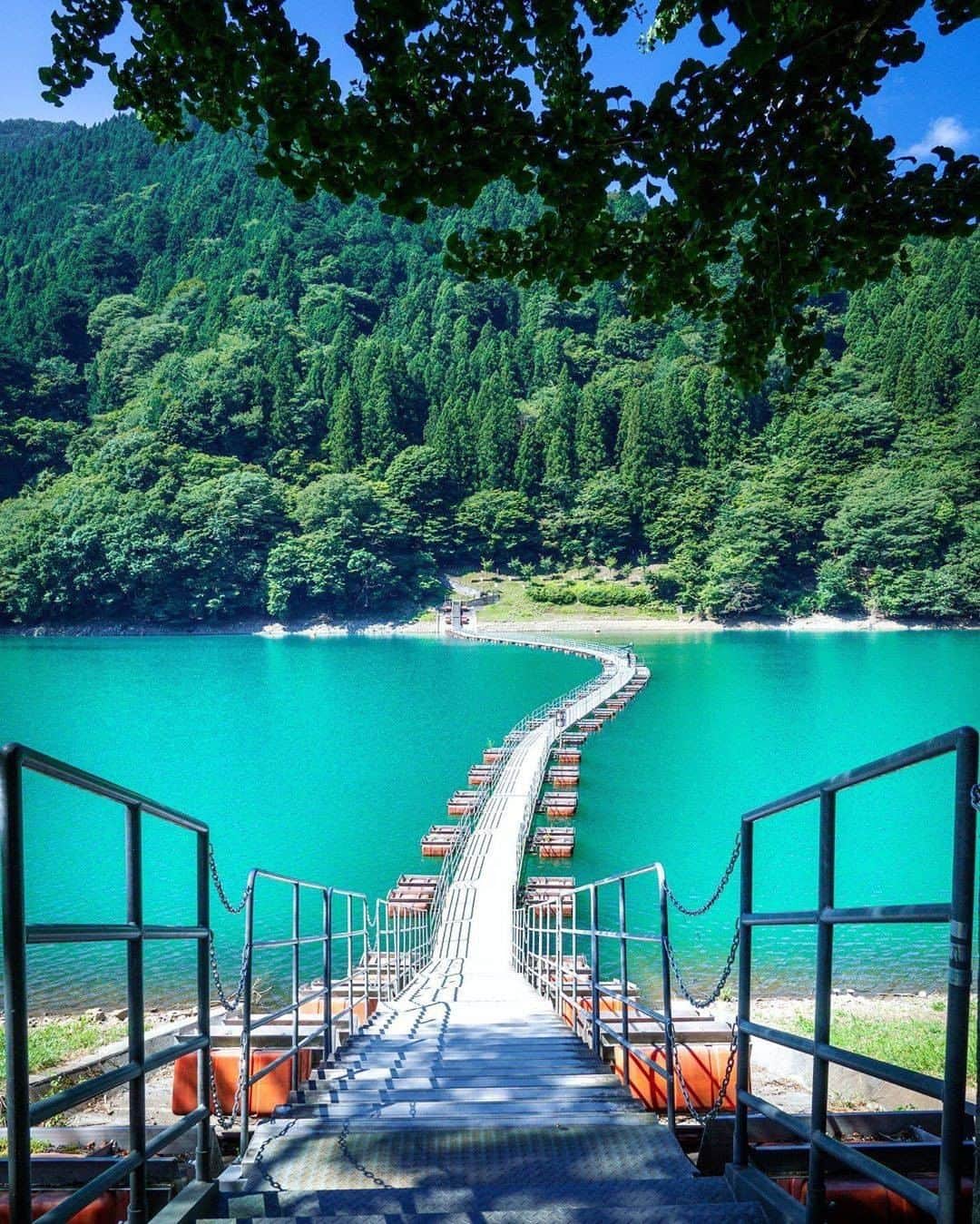 エイチ・アイ・エスのインスタグラム：「あなたの旅の思い出を大募集✈️ HISでは毎月、皆様のお写真を旅メディア「Like the World」や各SNSで記事にさせていただいております😀 そこで今回は「# LW8月の旅」で投稿いただいた素敵なお写真をご紹介します♪ . . 🚩東京都 「留浦浮橋」 📸 @traveler_sui  さん . 奥多摩湖を横断できる留浦浮橋は、かつてはドラム缶を利用して作られていたため『ドラム缶橋』とも呼ばれています。 今はドラム缶を模した樹脂製となっていますが、水に浮いている橋は歩く度にフワフワ揺れてちょっぴりスリリング！？ 奥多摩の気持ち良い大自然を堪能できる穴場スポットです！ . . 今月の旅の思い出は「#lw9月の旅」を付けて 素敵な旅の思い出をお裾分けしてください😍 . ------------------------------------- まだまだ暑い日が続きますが、 そろそろ秋旅の準備を始めませんか？ 今回は「#秋旅のセカイ」で、国内の素敵な「秋旅」のお写真を大募集🍂 素敵なお写真お待ちしてます😍 ------------------------------------- . . #東京 #東京旅行 #東京観光 #留浦浮橋 #tokyo #東京観光スポット #夏休みの思い出  #gotoキャンペーン #gotoトラベルキャンペーン #写真好きな人と繋がりたい #ファインダー越しの私の世界 #誰かに見せたい風景 #絶景 #世界遺産 #死ぬまでに行きたい世界の絶景 #instatravel #instapassport #instatraveling #travelgram #lovetravel #traveljapan #lovers_nippon #japan #photooftheday #japantrip #japantravel #insta_japan #visitjapan」