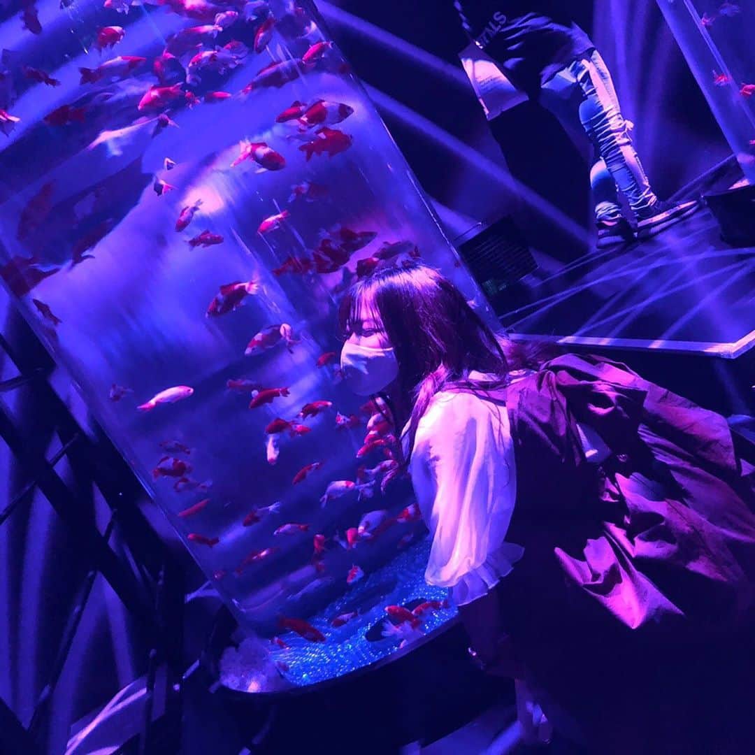 横道侑里さんのインスタグラム写真 - (横道侑里Instagram)「ちょいと前にアートアクアリウムいってきたの！ 綺麗だったぁぁあ。 金魚だいすき。」9月9日 18時04分 - sideroad615