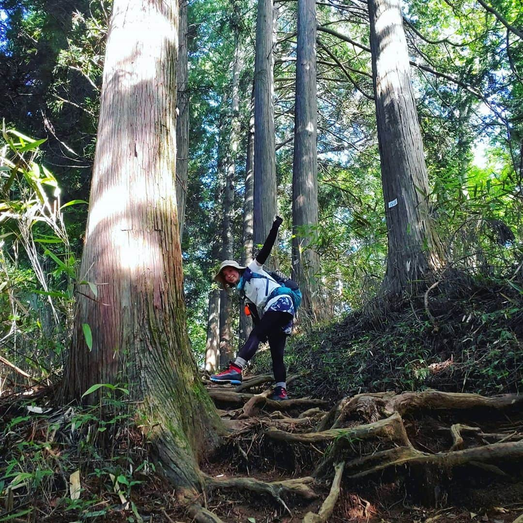 加藤ツバキさんのインスタグラム写真 - (加藤ツバキInstagram)「御岳山→奥の院→七代の滝→日の出山→つるつる温泉 快晴だったのでピコシェルターの出番はなし！ カレーラインナップ自慢しといてまさかのハヤシです😋（一応昨日の写真の右上に箱だけ写ってはいるのだよ 笑）メスティンでお米炊きつつふたの上でついでに温めも。らくちーん！ お昼どきで日の出山山頂は賑わっておりました。平日なのに意外と人多かったなー 下り調子に乗ってほぼ小走りだったのと、七代の滝から長尾平への登りがえげつなかったんで明日はカラダバッキバキかも👿こわー😂 ラストはつるつる温泉でサクッと一杯やって早めに帰宅🙆 コロナで新しい登山ルールもあるし、色々気をつけつつ…って思って気合い入れて行ったけどまずぼっちだから密はなし！というわけで、ゆるゆると山歩きを再開していきたいところ。ただ都内から出るかどうかは悩みどころ🤔丹沢行きたいなー #御岳山 #日の出山 #ヤマメシ #メスティン #雑め #つるつる温泉 #マジつるつる」9月9日 18時20分 - katotsuba_desu