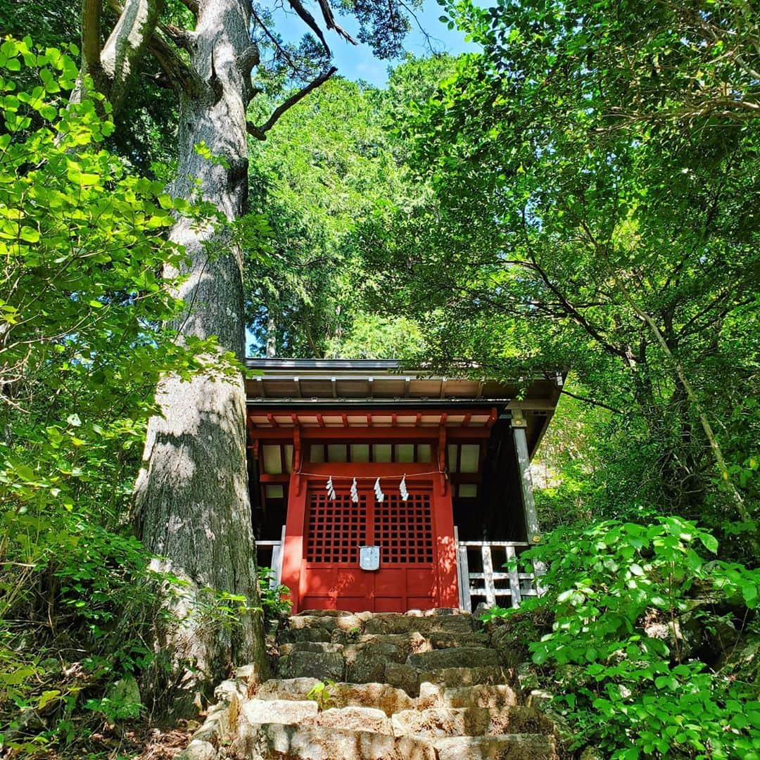 加藤ツバキさんのインスタグラム写真 - (加藤ツバキInstagram)「御岳山→奥の院→七代の滝→日の出山→つるつる温泉 快晴だったのでピコシェルターの出番はなし！ カレーラインナップ自慢しといてまさかのハヤシです😋（一応昨日の写真の右上に箱だけ写ってはいるのだよ 笑）メスティンでお米炊きつつふたの上でついでに温めも。らくちーん！ お昼どきで日の出山山頂は賑わっておりました。平日なのに意外と人多かったなー 下り調子に乗ってほぼ小走りだったのと、七代の滝から長尾平への登りがえげつなかったんで明日はカラダバッキバキかも👿こわー😂 ラストはつるつる温泉でサクッと一杯やって早めに帰宅🙆 コロナで新しい登山ルールもあるし、色々気をつけつつ…って思って気合い入れて行ったけどまずぼっちだから密はなし！というわけで、ゆるゆると山歩きを再開していきたいところ。ただ都内から出るかどうかは悩みどころ🤔丹沢行きたいなー #御岳山 #日の出山 #ヤマメシ #メスティン #雑め #つるつる温泉 #マジつるつる」9月9日 18時20分 - katotsuba_desu