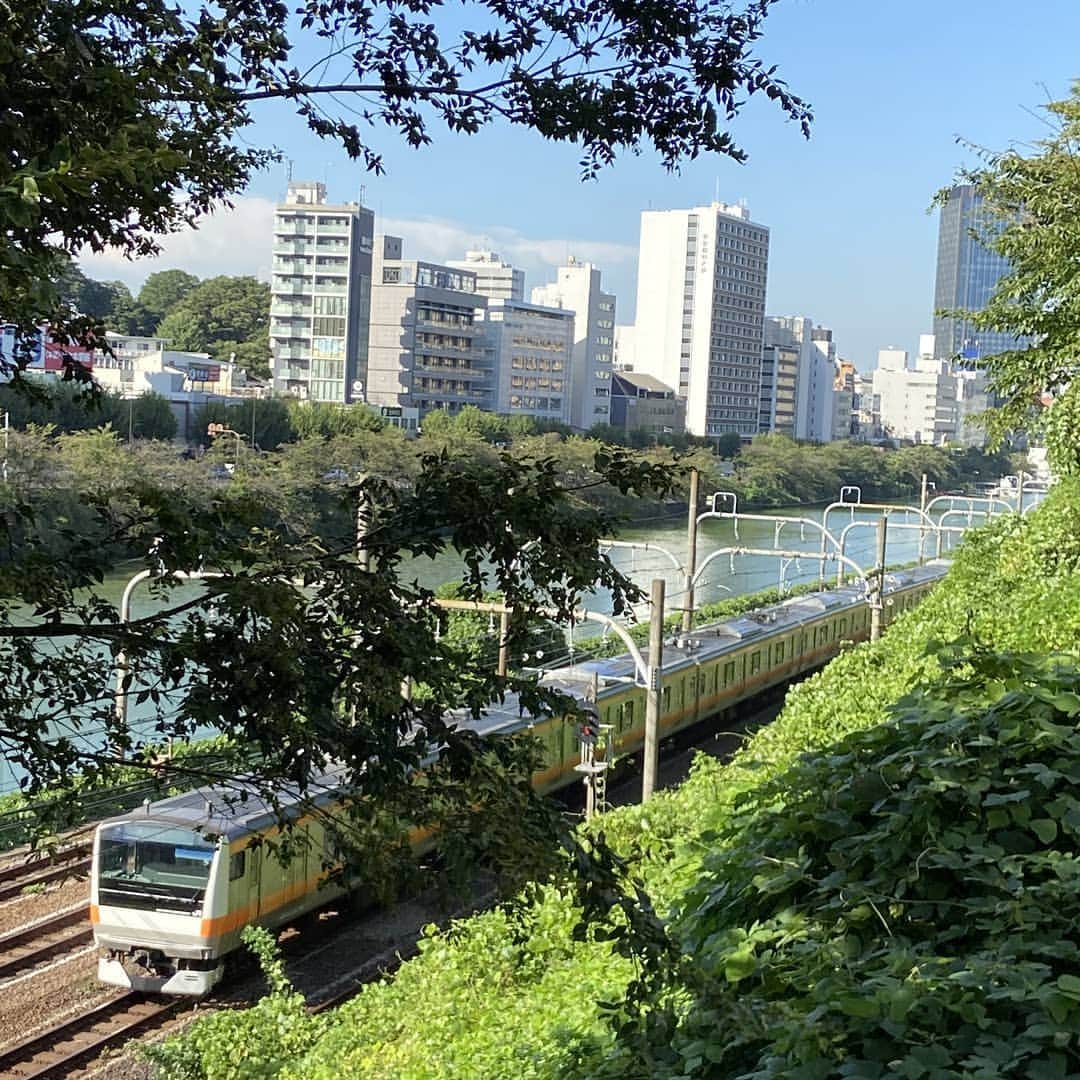 のインスタグラム：「外濠公園より。まだまだ残暑が厳しいですね。  #法政 #大学 #市ケ谷 #外濠公園 #外濠 #中央線 #hosei #university #chuoline」