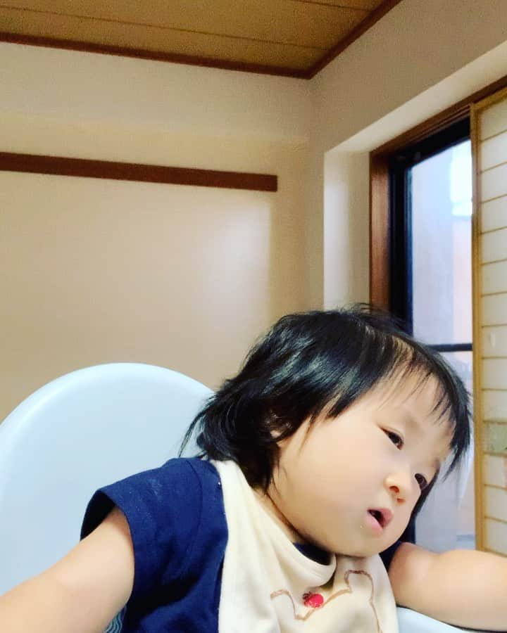 横山愛子のインスタグラム：「きたーーーー！！！ 長女の時は絶対あり得なかったから、SNSや友人の子供の映像みていて、羨ましか思ってた😄😄 そしたらついに我が子も❣️❣️ ご飯食べながら寝たーーー^ - ^ なにこれ♪可愛い！最高❤️❤️ #9ヶ月 #寝落ち」