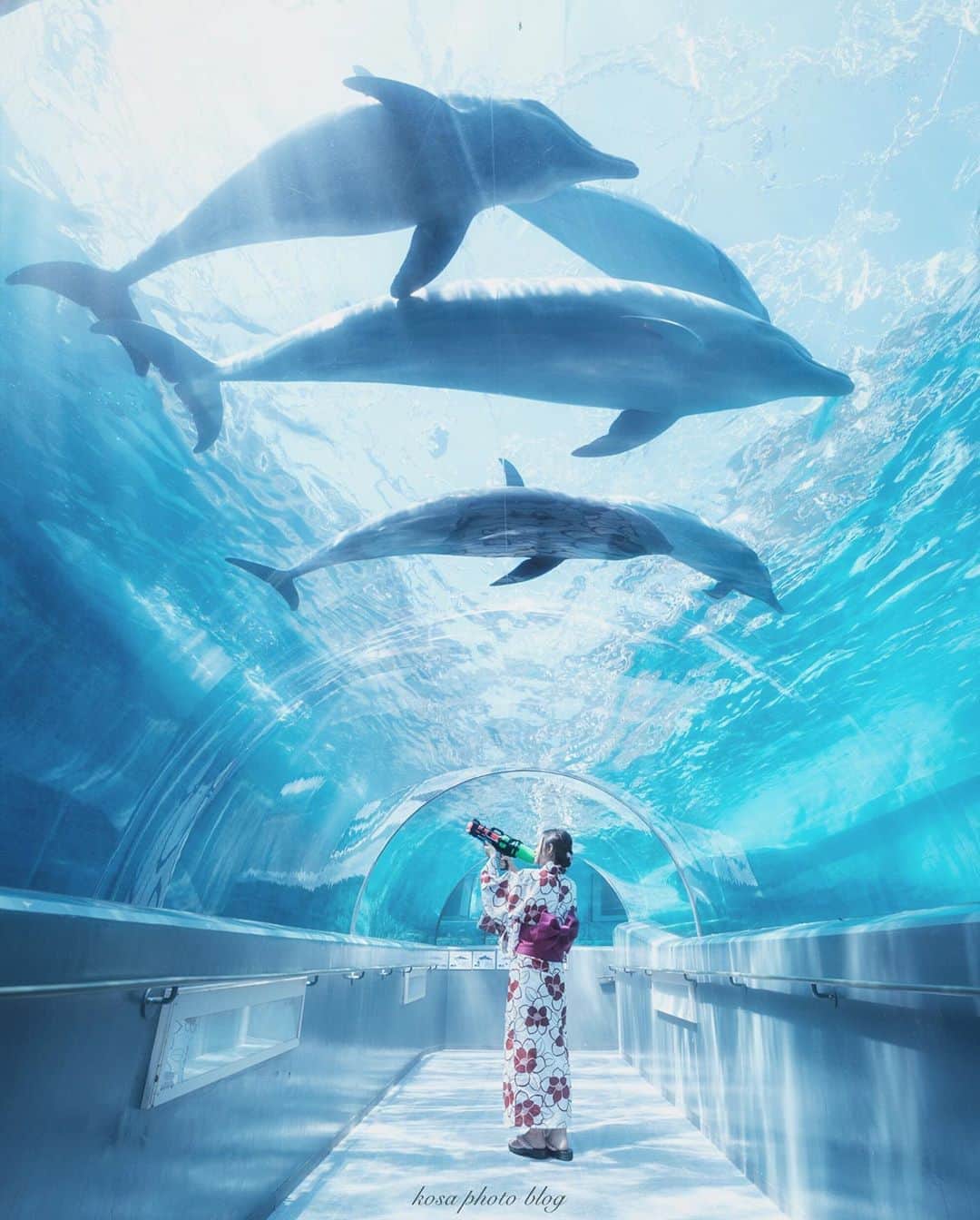 のインスタグラム：「🐬と🔫で水遊び ここ年中無休なのには驚いた😧 . Location:和歌山 Wakayama / Japan🇯🇵 Date:2020年9月 . #イルカ #浴衣 #くじらの博物館 #パワーフォト部 #TandDフォトコンテスト2020 #discover #今こそ写真でつながろう #写真を止めるな #art_of_japan_ #tokyocameraclub #dpj_member #IG_PHOS #photo_jpn #ptk_japan #pt_life_ #bestjapanpics #sorakataphoto #広がり同盟メンバー #LBJ_Legend #Japan_Daytime_View #light_nikon #special_spot_legend #s_shot #japan_of_insta #bestphoto_japan #Rox_Captures #kf_gallery_vip #lbj_マイベストショット #rox_best2020」