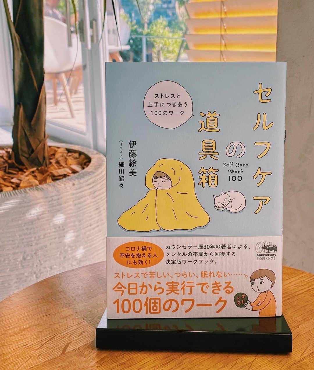 柏の葉 T-SITEのグルメインスタ