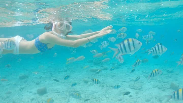 久保りさのインスタグラム：「Cebu🐠  セブで泊まったホテルが良すぎて、ここのためにまたセブ行きたくなっちゃう🥺  セブは基本的に物価が安いから、有名なホテルチェーンも破格の値段で泊まれるの。  マクタン島にリゾートホテルが密集してて、ダウンタウンのローカルのホテルは一泊数千円とか笑  私は最初の数日、ジンベイザメに会いに行ったり、キャニオニングのツアーだったり、1日外出する予定にして、安いダウンタウンのホテルに宿泊。  後半はシャングリラで特にどこも行くことなくゆっくり〜という予定に。  お部屋はオーシャンビューにして、ホテルの敷地が広いからとってもゆっくりできたし、癒されたな〜  フィリピンのモールで食べるご飯はあまり得意ではなかったので、ご飯も美味しかったのがよかった🙆‍♀️  マクタン島は整備されているビーチが少ないので、マクタン島に泊まって海を楽しみたいなら、プライベートビーチがあるホテルに泊まるのがマストだそうです。  コロナ開け最初の海外旅行はやっぱり東南アジアからなのかしら🥺    #セブ #セブ島 #フィリピン #海外旅行 #シャングリラ #シャングリラマクタンリゾート #cebu #shangrila #mactan #philippines #lissa_hotel」