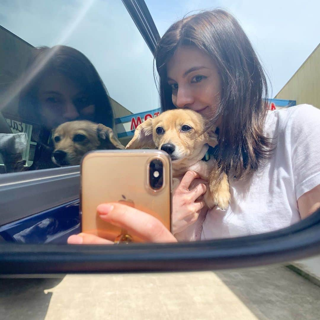 マギーさんのインスタグラム写真 - (マギーInstagram)「My baby🐶🌈☀️💘 #ほんとはもっと可愛い #親ばかあるあるですね  #今日は暑かったね〜」9月9日 19時43分 - maggymoon