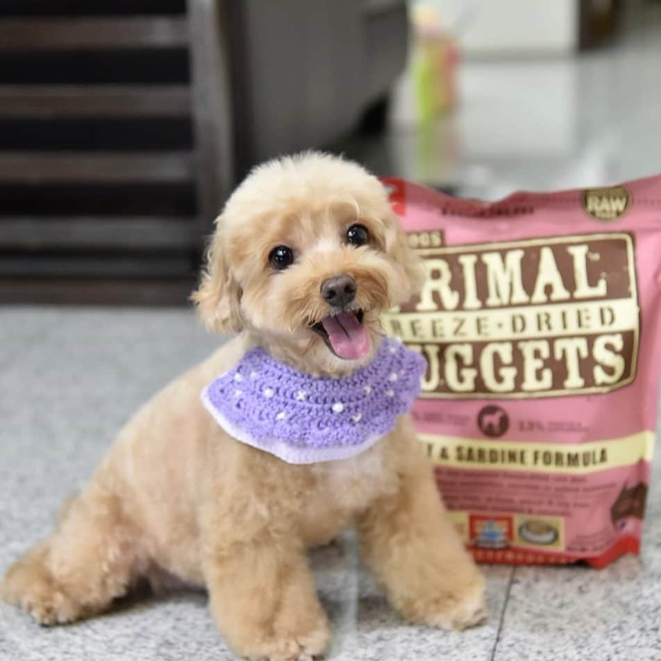 Truffle??松露?トリュフのインスタグラム