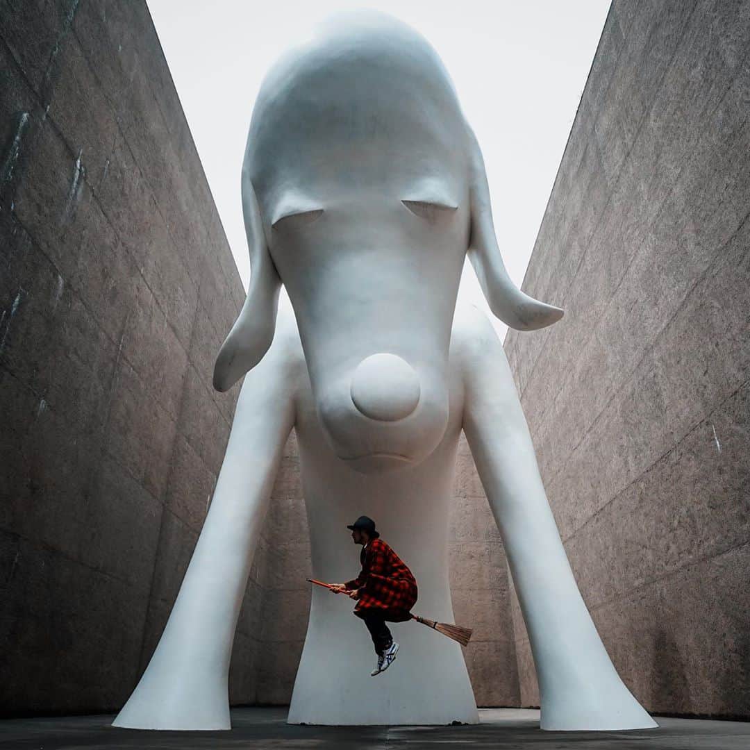 のインスタグラム：「北に向かった旅の記録。青森県（犬・けん）だよっ！！ #青森県立美術館  #奈良美智」