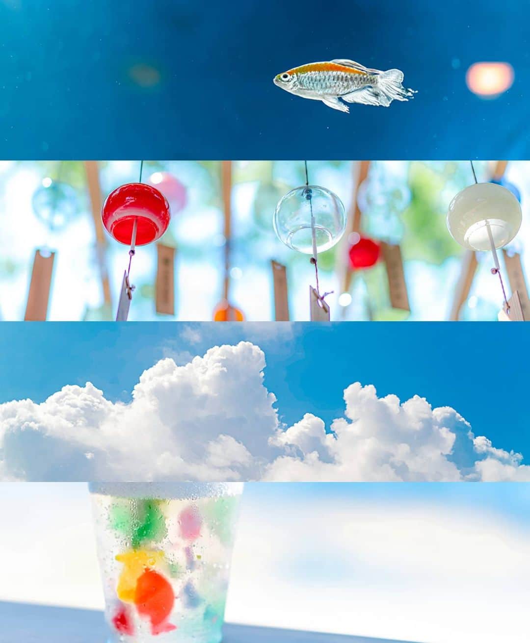 6151のインスタグラム：「夏の音色｜Summer tones  SONY公式サイト「α Universe」にてレンズレビューを公開しました。  今年の夏はいつにも増して特別でしたが、 変わらずに在る日本の夏の時間を 収めて歩きました。  作例と共に、ZEISSレンズの魅力に 触れていただけると嬉しいです。  さあ、見たことのない世界へ。 SONY α Universe｜純正が引き出すカメラの真価 ～6151氏 × Sonnar T* FE 55mm F1.8 ZA～ https://www.sony.jp/ichigan/a-universe/news/492/」