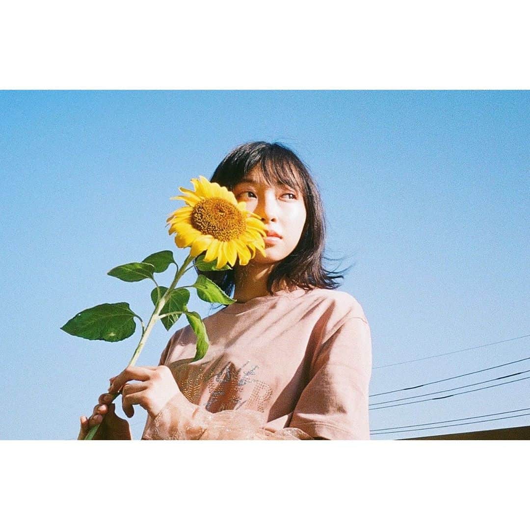 辻野かなみのインスタグラム：「❤︎﻿ ﻿ 梅雨☔️が長くて… 夏本番☀️には早くに枯れてしまった私の#ひまわり🌻  ﻿後から植えたひまわりも、もう元気がなくなって…  夏の終わりを感じます🥺 ﻿  来年はいつも通りの夏が戻ってきますように🙏🏻﻿ ﻿ ﻿  #film﻿ #instagood #instalike #followme」