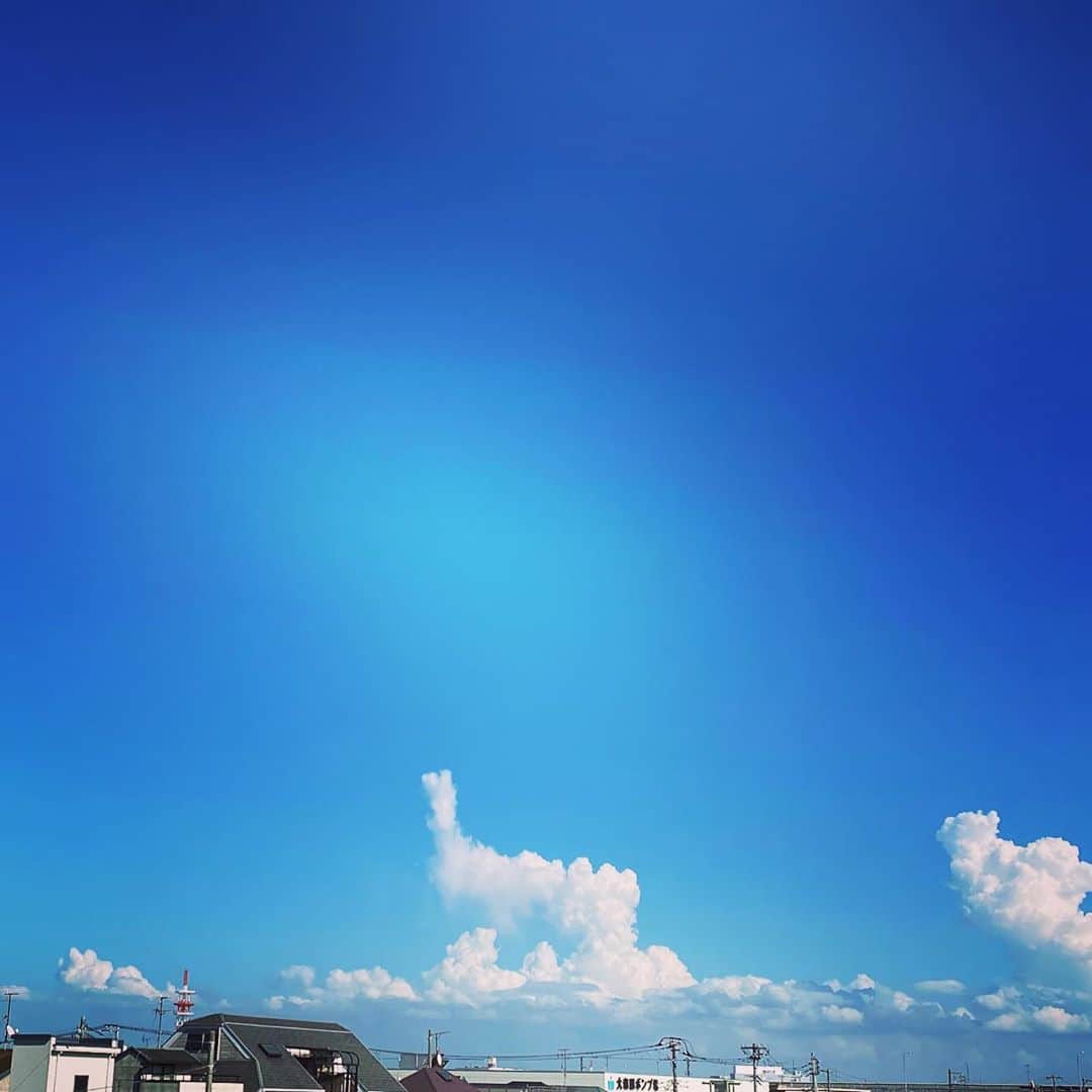 有村架純さんのインスタグラム写真 - (有村架純Instagram)「何に見える？🍤🍤」9月9日 21時21分 - kasumi_arimura.official
