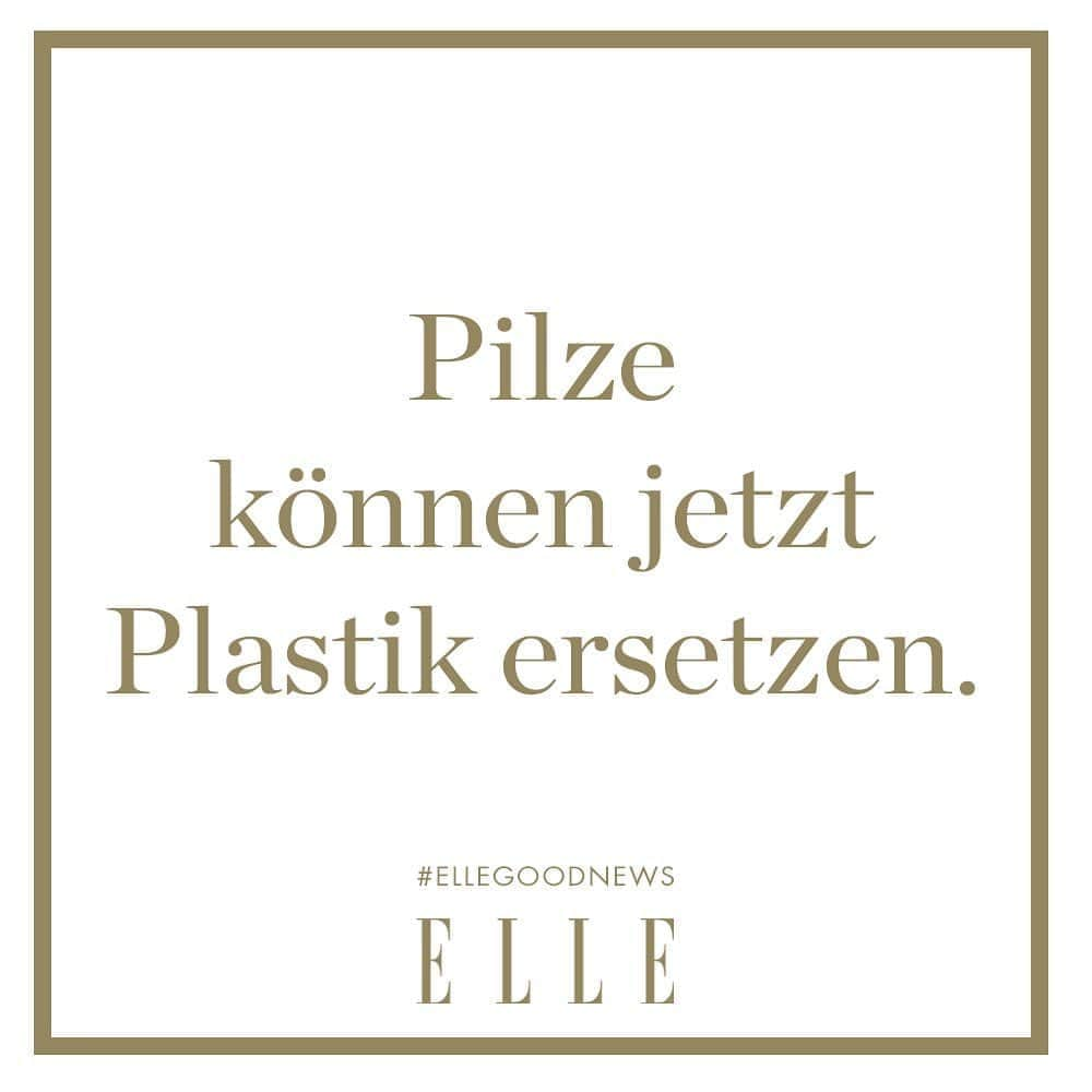 ELLE Germanyさんのインスタグラム写真 - (ELLE GermanyInstagram)「Verpackungen können auch umweltfreundlich sein: Als dankbare Alternative zu Plastik können beispielsweise Pilze eingesetzt werden. Myzelien oder Mycel bezeichnet man das Geflecht von Pilzen, das in kürzester Zeit wächst und wie Styropor eingesetzt werden kann. So könnte man Verpackungen in Zukunft zu 100 Prozent kompostierbar gestalten und die Umwelt vor dem schädlichen Plastik schützen. Mehr dazu jetzt auf ELLE.de via Link in Bio! #ellegoodnews #nachhaltigkeit #umwelt #plastikfrei」9月9日 21時22分 - ellegermany