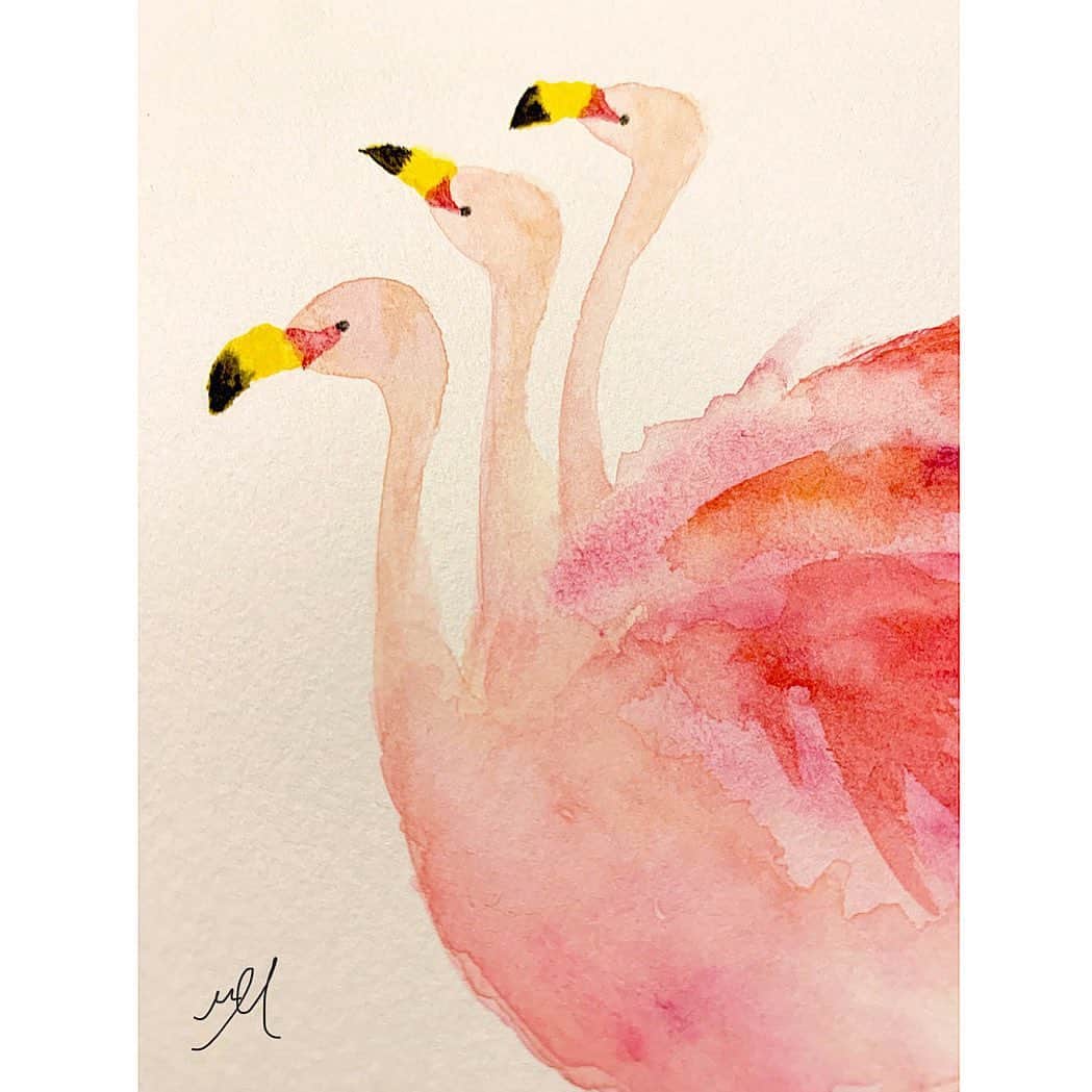 高杉さと美さんのインスタグラム写真 - (高杉さと美Instagram)「🦩🦩🦩  #illustration #birds #水彩 #鳥 #色 #挿絵 #ギャラリー #イラスト」9月9日 21時45分 - satomi_mira