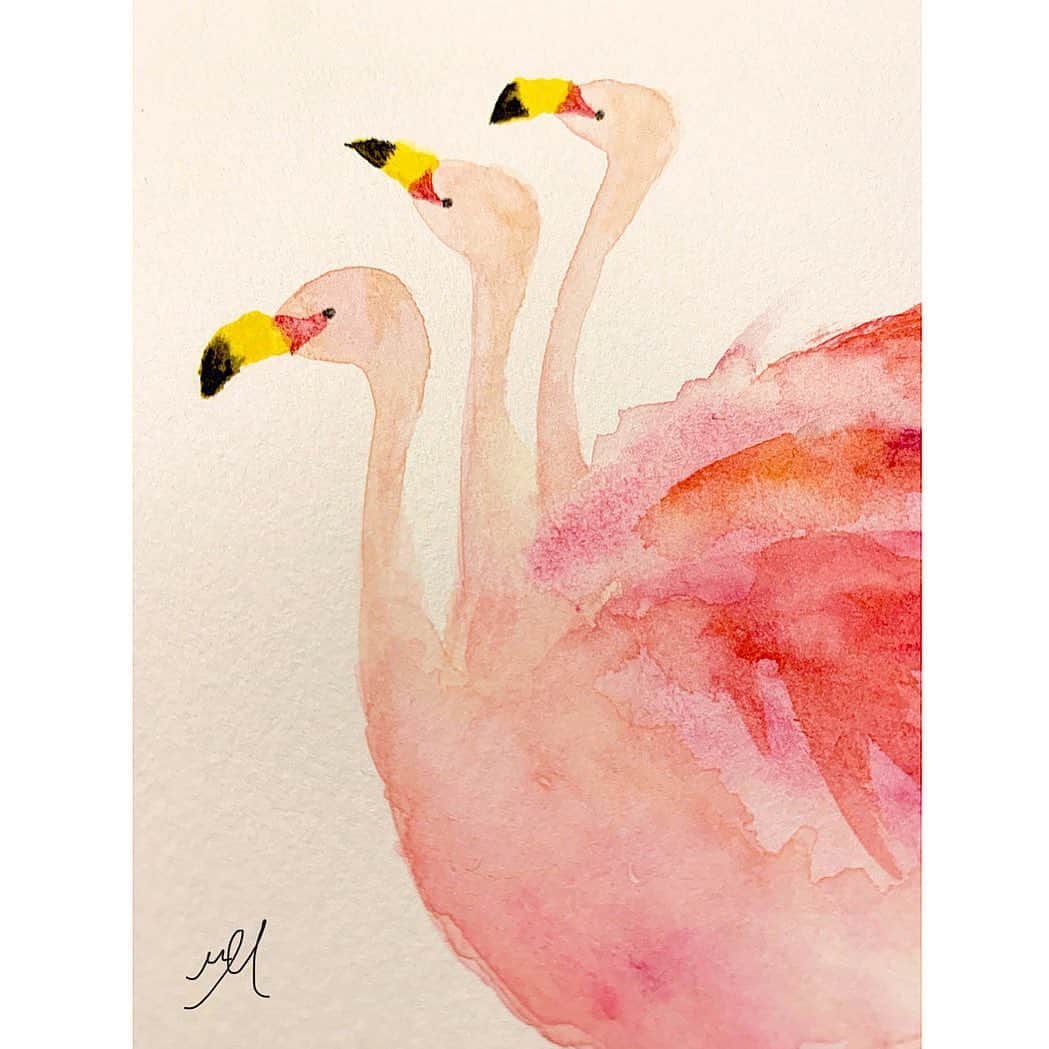 高杉さと美のインスタグラム：「🦩🦩🦩  #illustration #birds #水彩 #鳥 #色 #挿絵 #ギャラリー #イラスト」