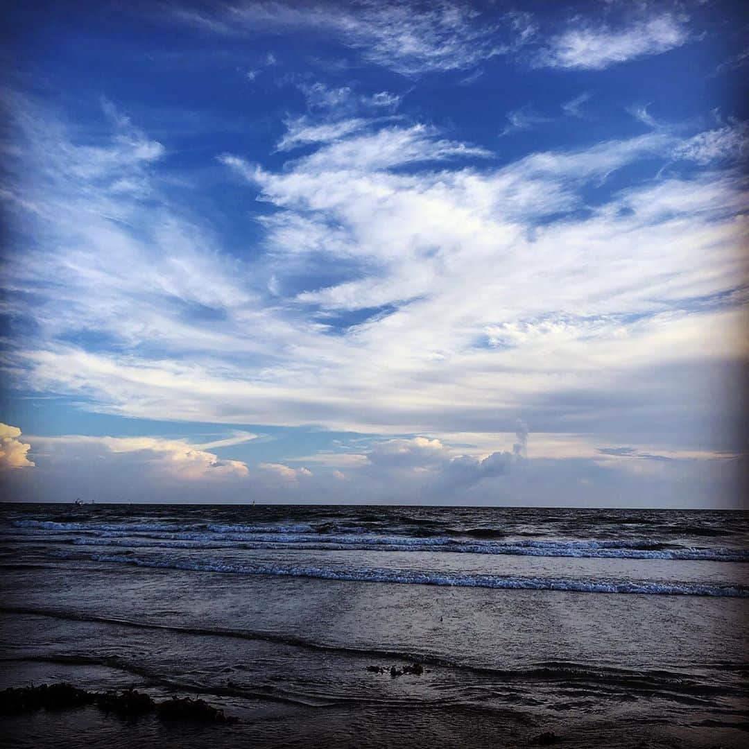 西山由のインスタグラム：「La couleur du désespoir est le bleu.」